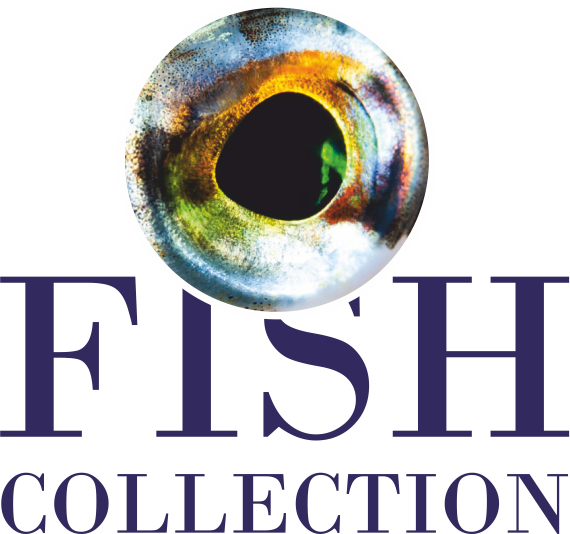 FishCollectionStore